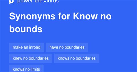 Know no bounds/boundaries Definition & Meaning .